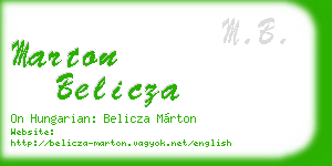 marton belicza business card